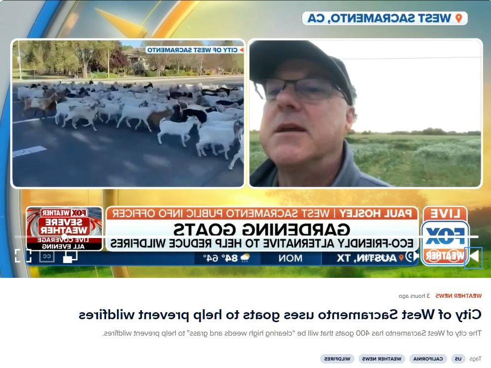 PH on Fox Weather interview about goats. 4-4-22